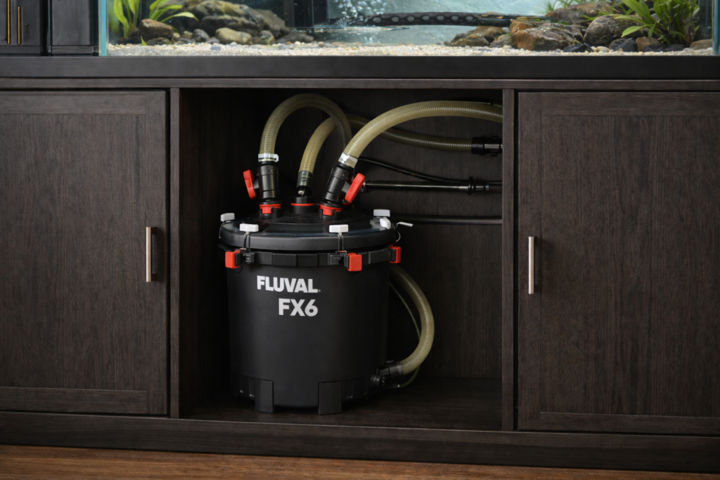 canister filter installed under turtle tank cabinet with intake and spray bar
