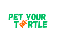Pet your turtle