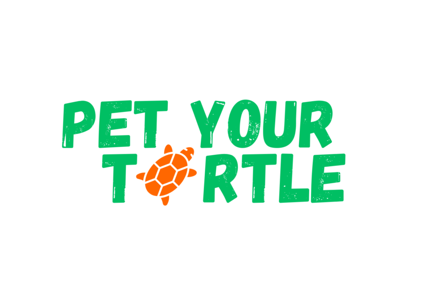 Pet your turtle