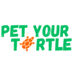 Pet your turtle