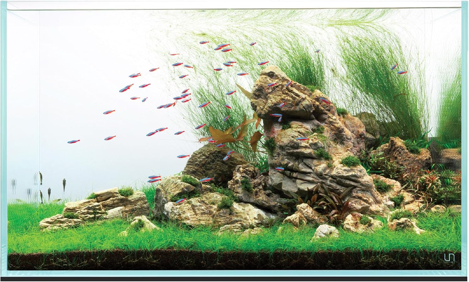 Best Turtle Tank UNS Ultra Clear Rimless Tank (74.5 GAL)