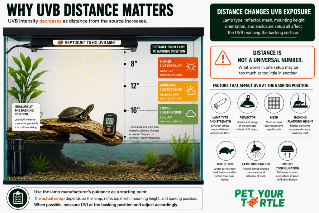 Educational infographic showing why UVB distance matters for pet turtles, with a ReptiSun T5 HO UVB Mini lamp, basking turtle, UVI meter, 8, 12, and 16 inch distance examples, and factors affecting UVB exposure